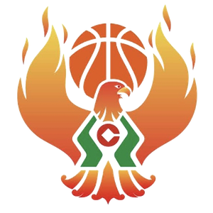 https://img.da-china.com/img/basketball/team/09b49d34027e0409a4de3295f8c71a2d.png